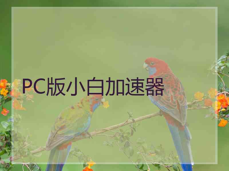 PC版小白加速器