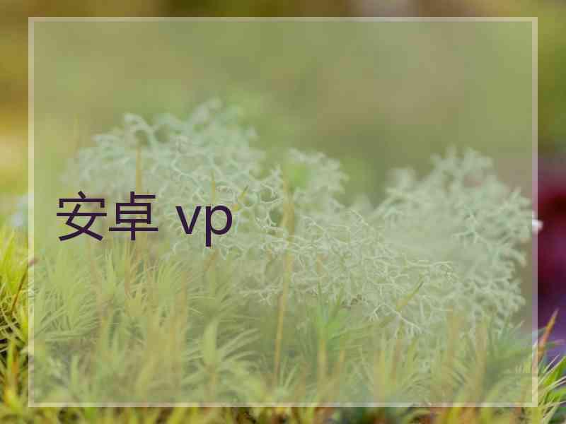 安卓 vp