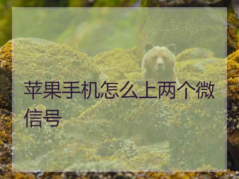 苹果手机怎么上两个微信号