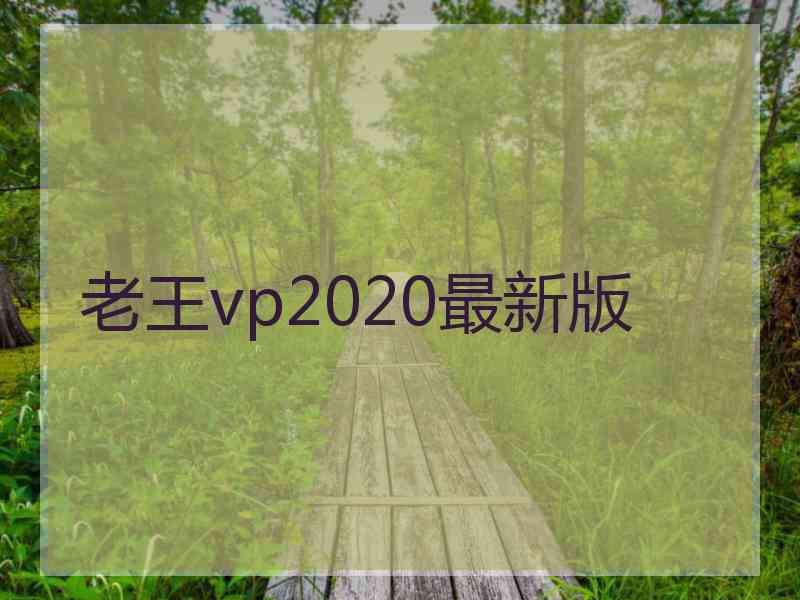 老王vp2020最新版