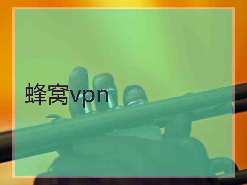 蜂窝vpn