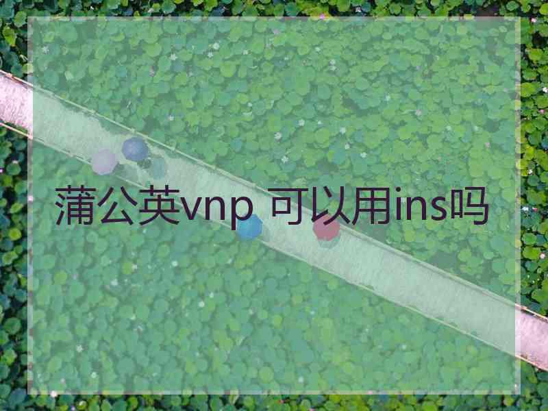 蒲公英vnp 可以用ins吗