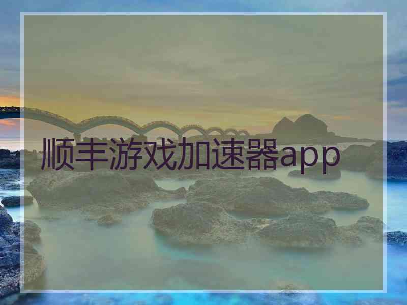 顺丰游戏加速器app