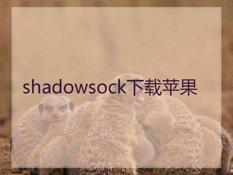 shadowsock下载苹果