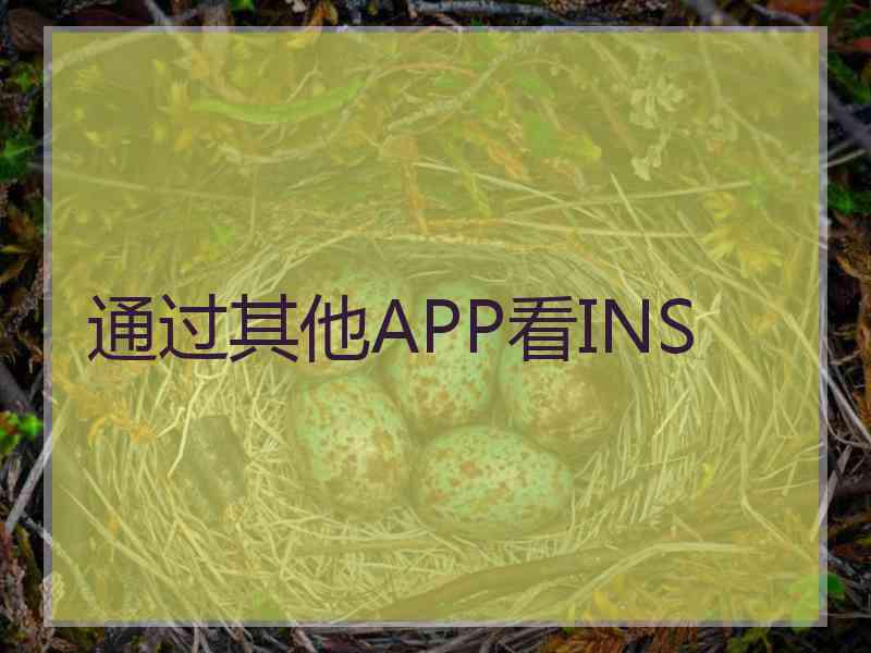 通过其他APP看INS