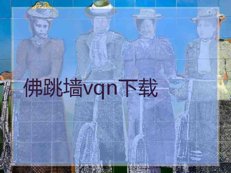 佛跳墙vqn下载