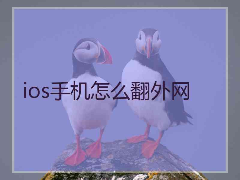 ios手机怎么翻外网