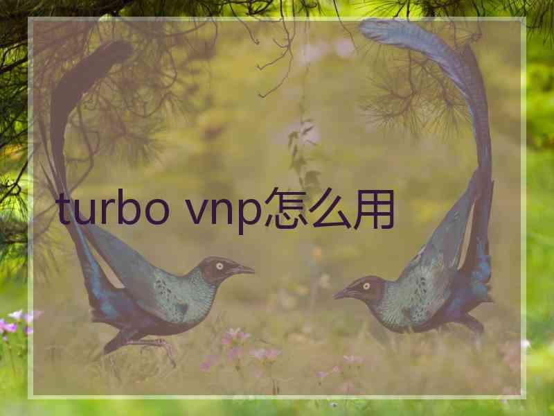 turbo vnp怎么用