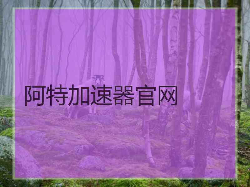 阿特加速器官网