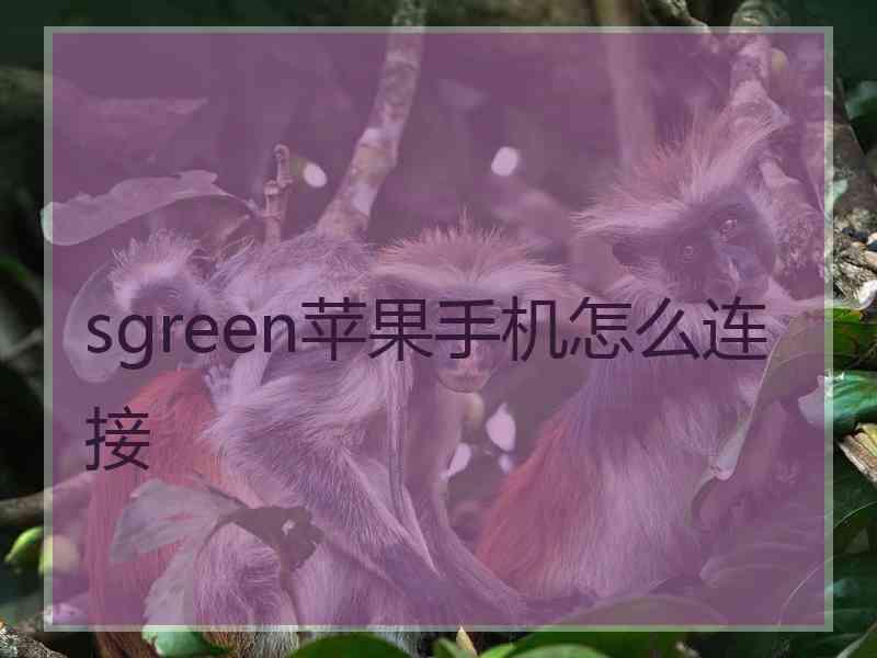 sgreen苹果手机怎么连接