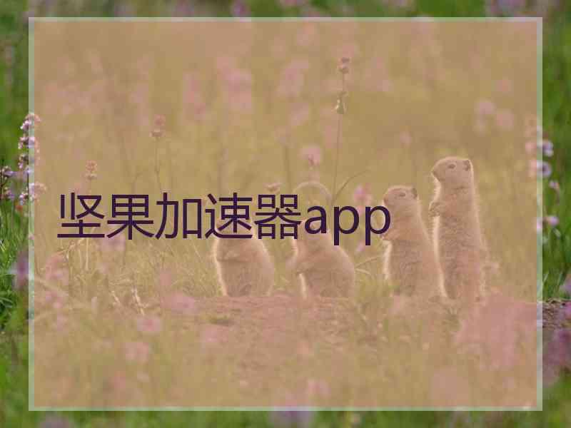 坚果加速器app