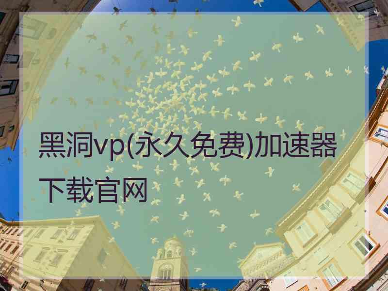 黑洞vp(永久免费)加速器下载官网