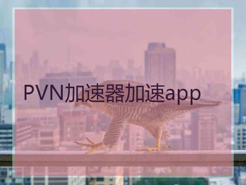 PVN加速器加速app