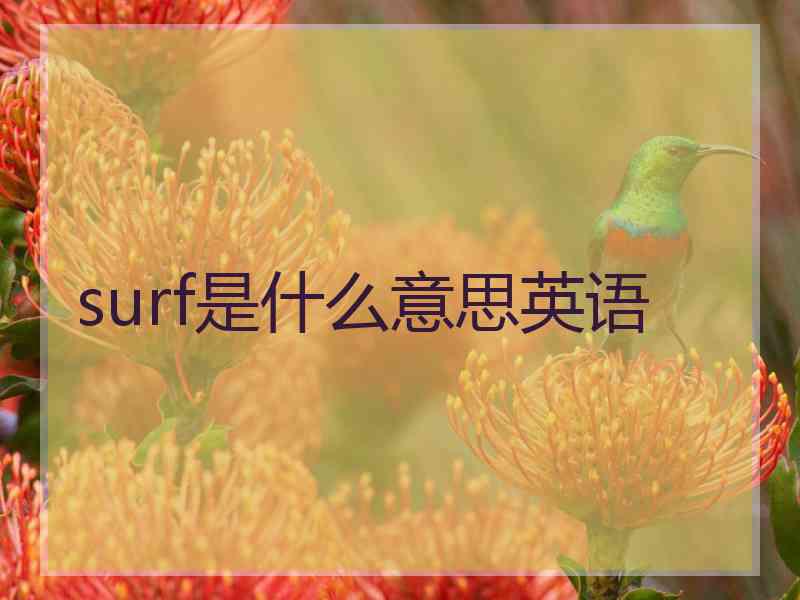 surf是什么意思英语