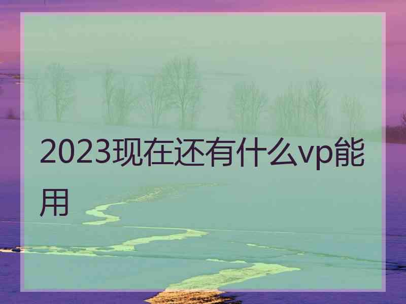 2023现在还有什么vp能用