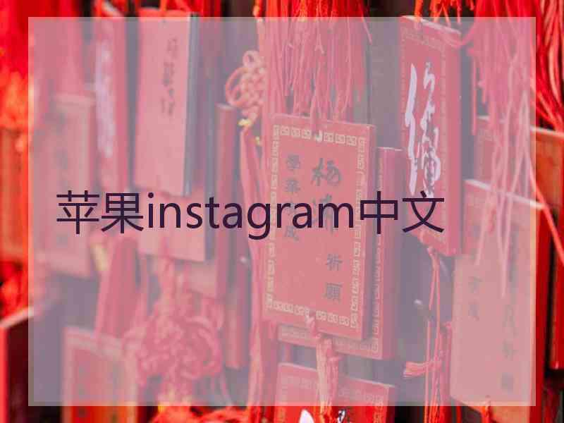 苹果instagram中文