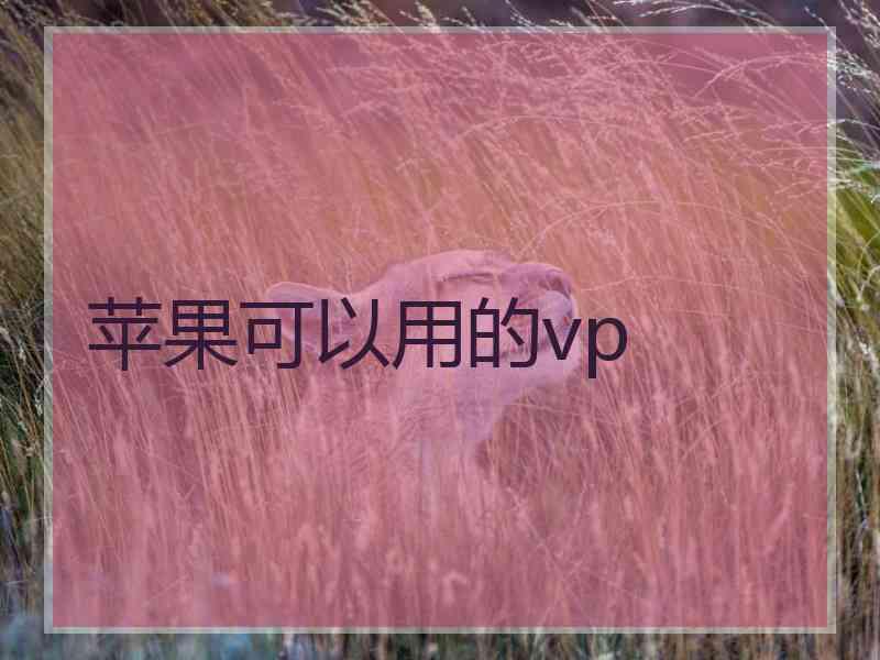 苹果可以用的vp