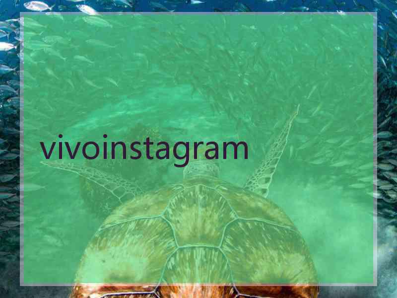 vivoinstagram