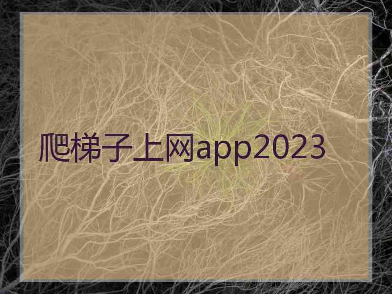 爬梯子上网app2023