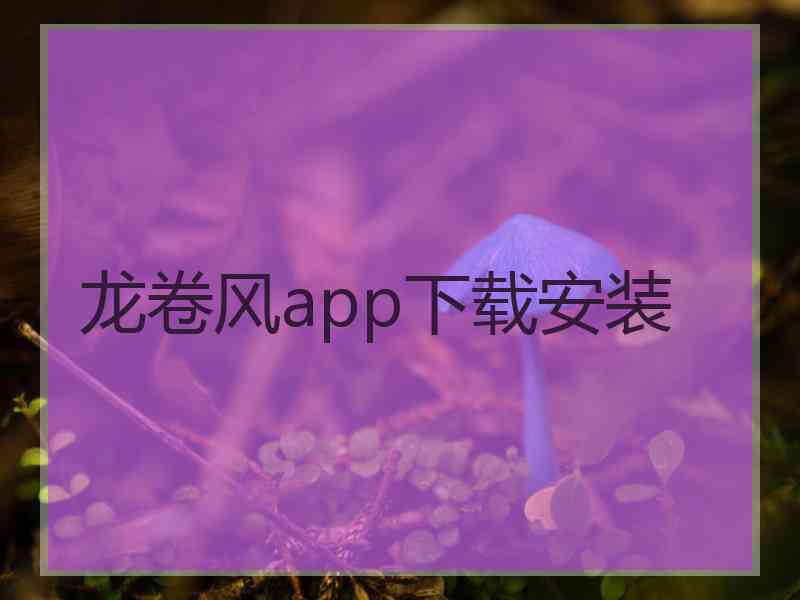 龙卷风app下载安装