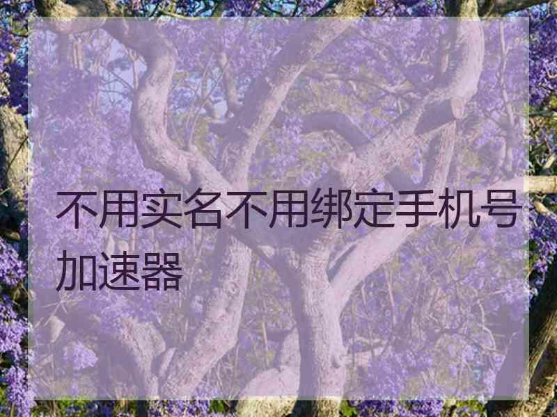 不用实名不用绑定手机号加速器