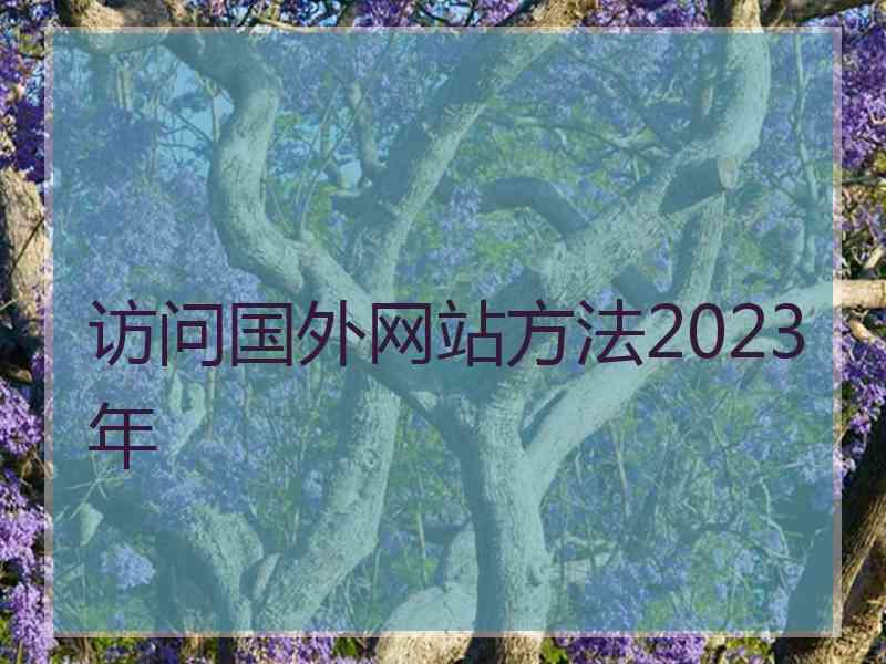 访问国外网站方法2023年