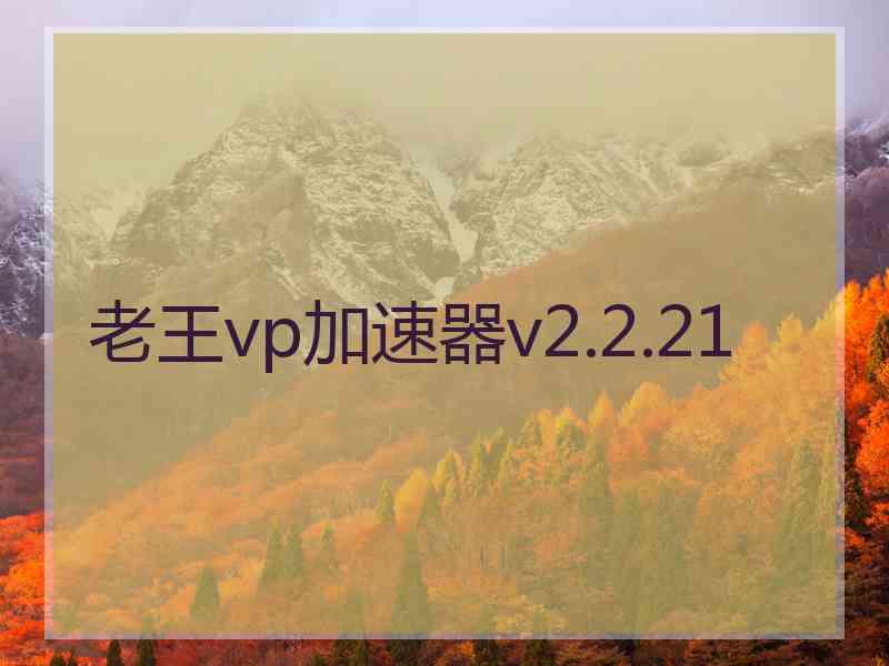 老王vp加速器v2.2.21