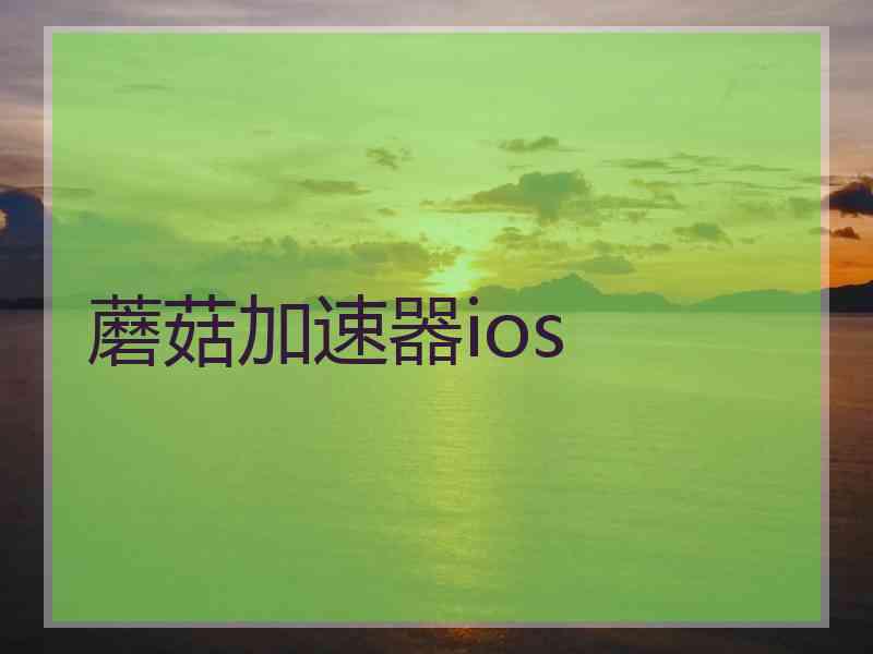 蘑菇加速器ios