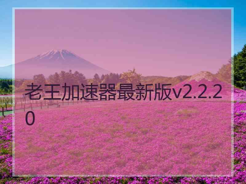 老王加速器最新版v2.2.20