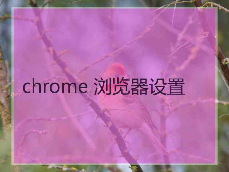 chrome 浏览器设置