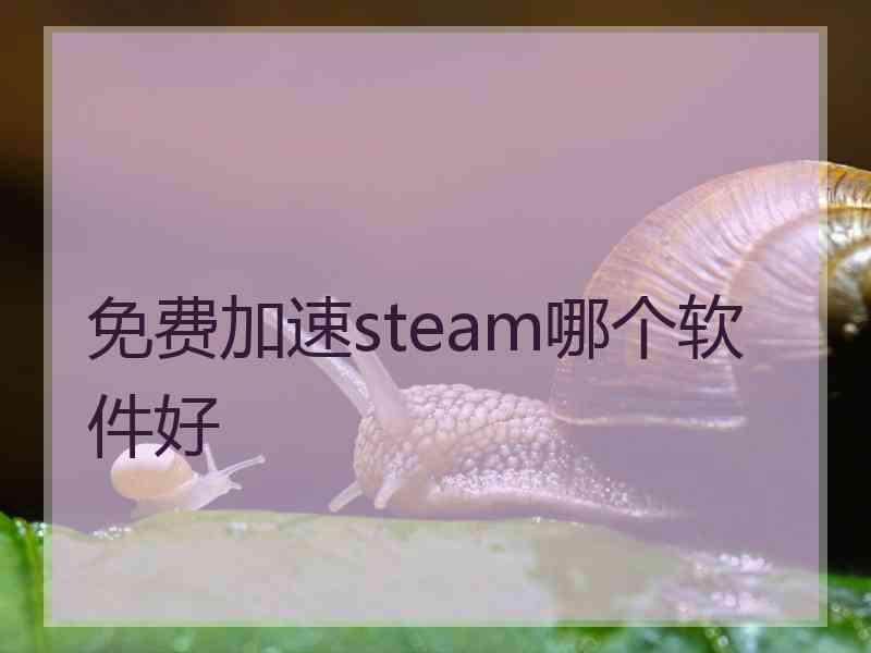 免费加速steam哪个软件好