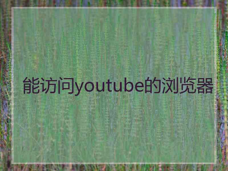 能访问youtube的浏览器