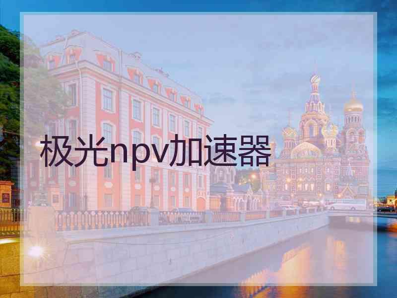 极光npv加速器