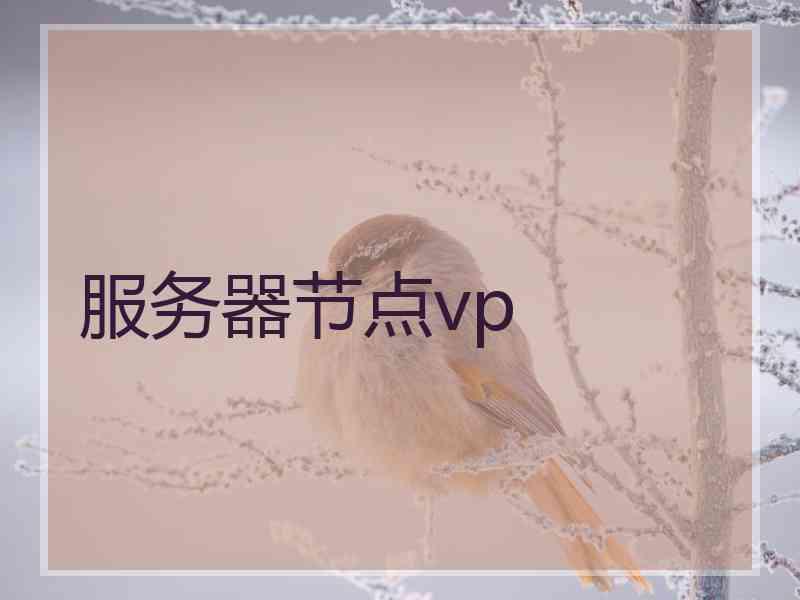 服务器节点vp